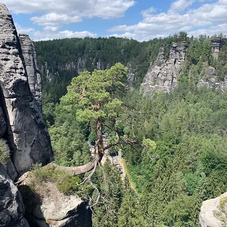 Devitka Szálloda Janov