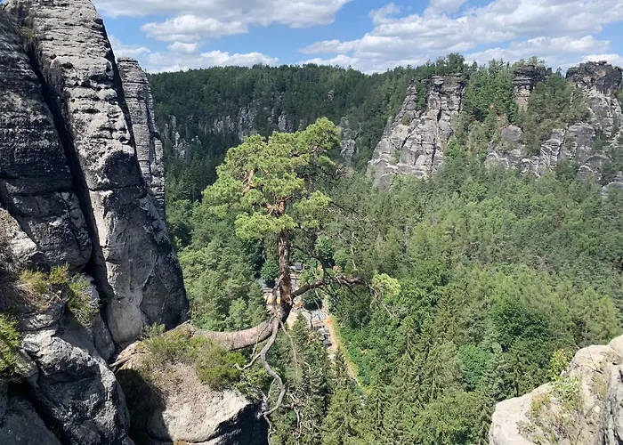 Devítka Hotel Janov